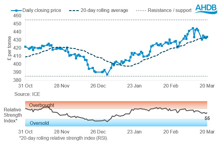 Line graph of Paris rapeseed futures May-26 prices in £/t over the past six months.